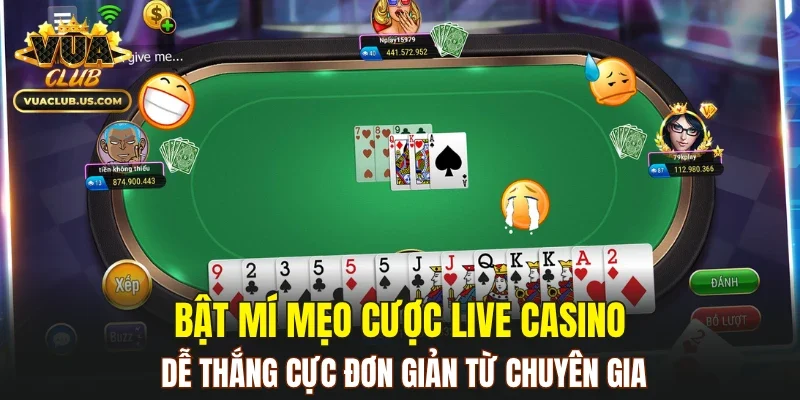 Bật mí mẹo cược live casino dễ thắng cực đơn giản từ chuyên gia