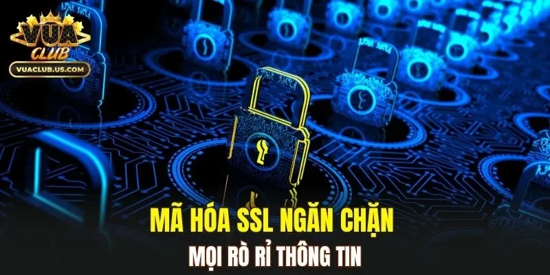 Mã hóa SSL ngăn chặn mọi rò rỉ thông tin